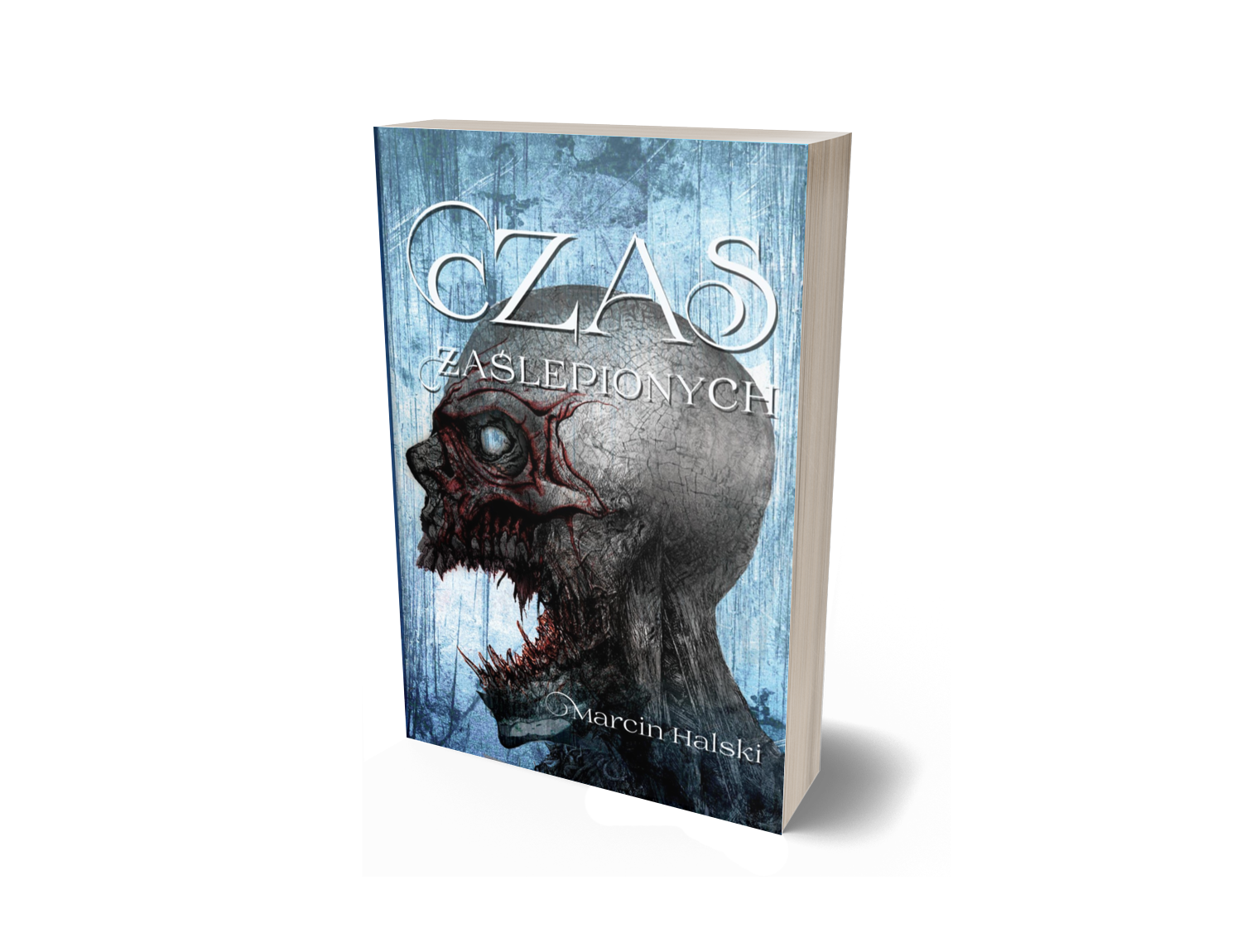 "Czas zaślepionych" - Marcin Halski